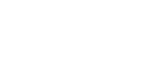 Bisnow Logo